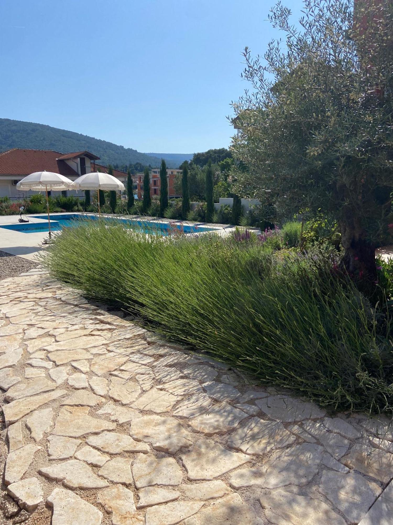 Hvar Luxury Villa And Pool With View In Heart Of Stari Grad 스타리 그라드 외부 사진